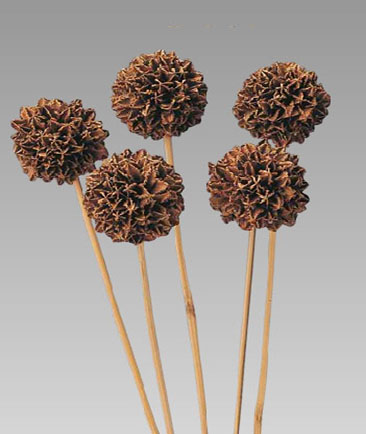 Aru Ball On Stem
