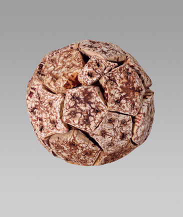 Megha Ball