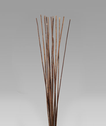Golden Stick