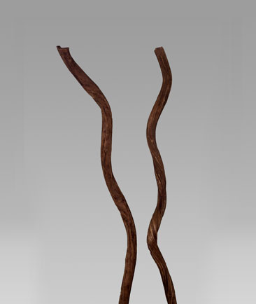 Lata Stick