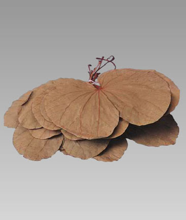 Folding Leaves