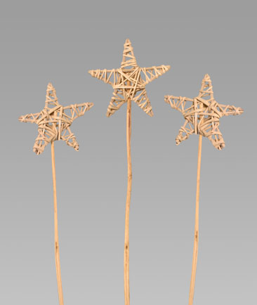 Lata Net Star Large
