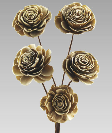 Shola Deco Rose