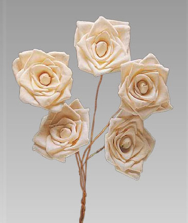 Sola Rose