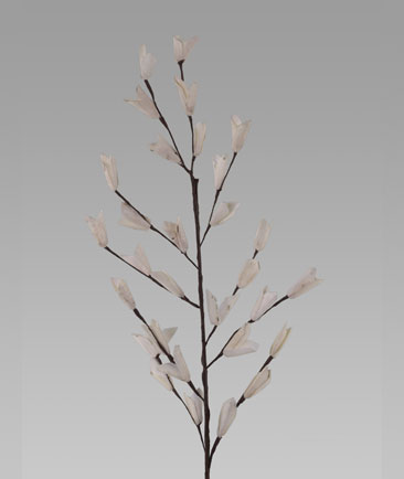Sola Katal Stick