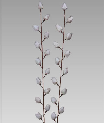 Sola Katal Stick