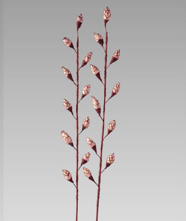 Sola Rose Mary Stick